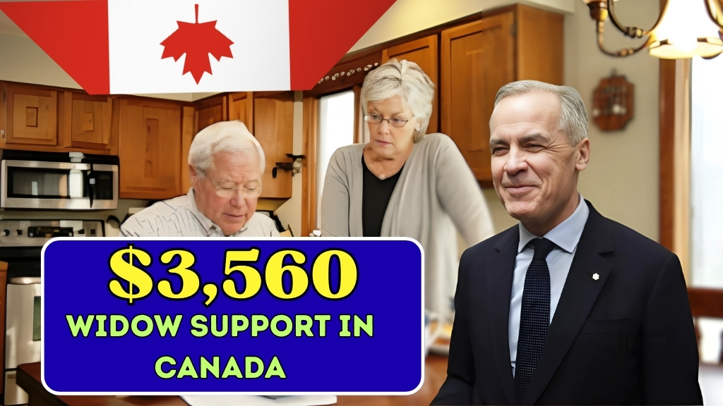 $3,560 Monthly Widow Support in Canada: Eligibility and Payment Guide
